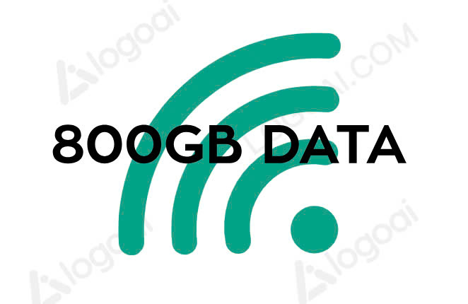 800GB/Month Package data